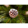 Новогодняя елка TRIUMPH TREE, Женева, 215 см, c шишками, заснеженная 73121